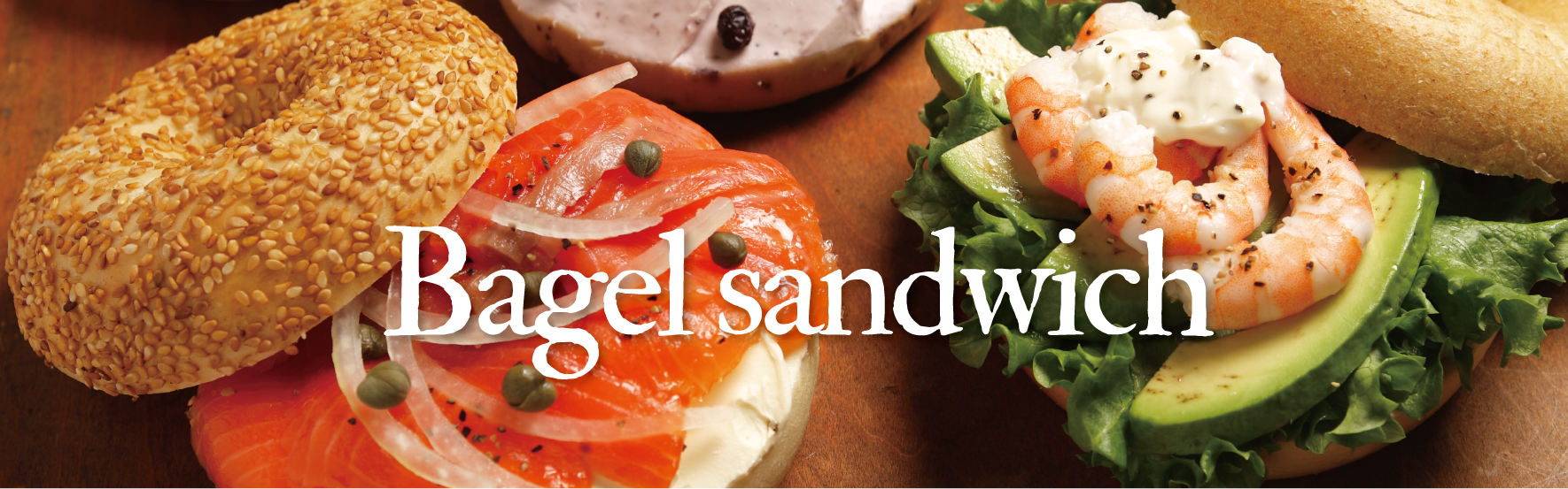 BEAGLE & BAGLE Our Bagle